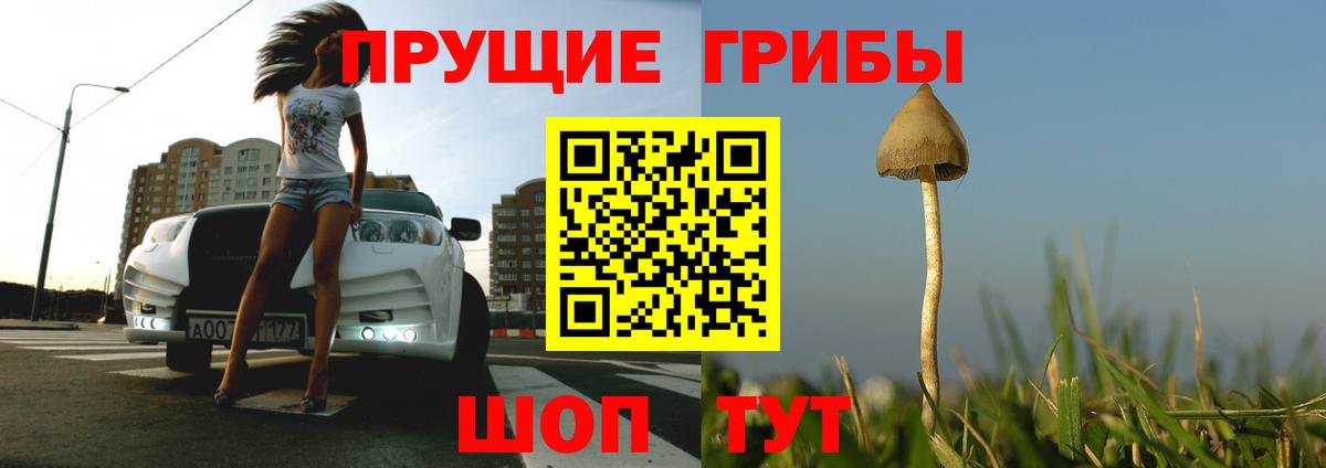 Псилоцибиновые грибы MAGIC MUSHROOMS Алатырь